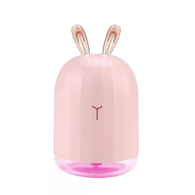 Cute Aromatizer & Humidifier