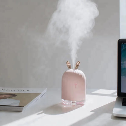 Cute Aromatizer & Humidifier