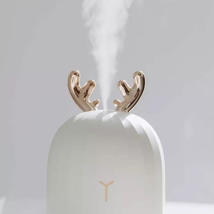 Cute Aromatizer & Humidifier