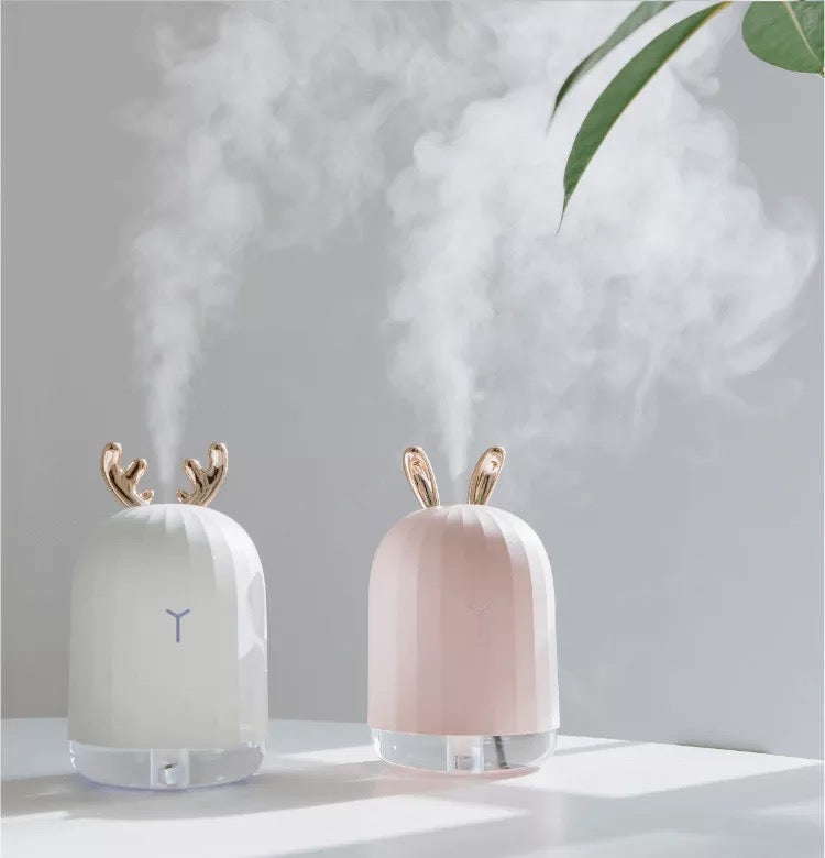 Cute Aromatizer & Humidifier