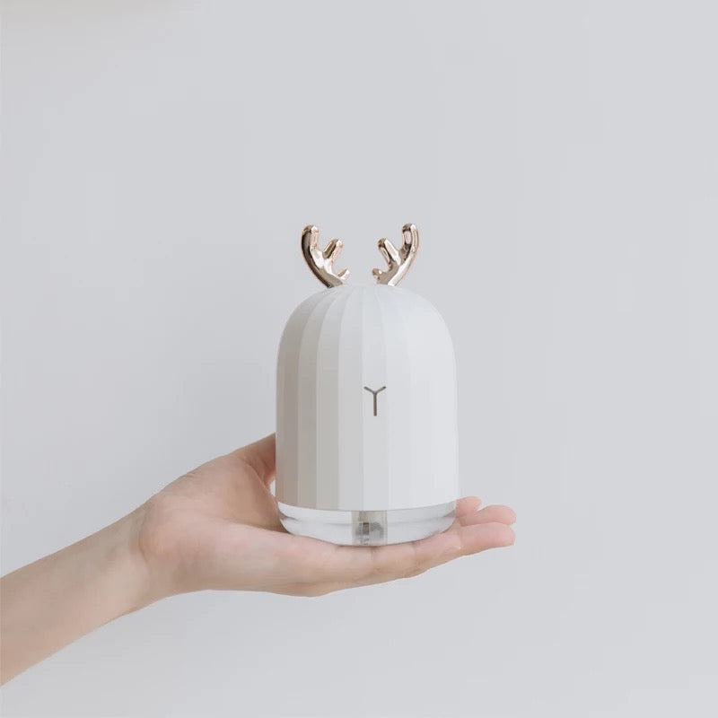 Cute Aromatizer & Humidifier