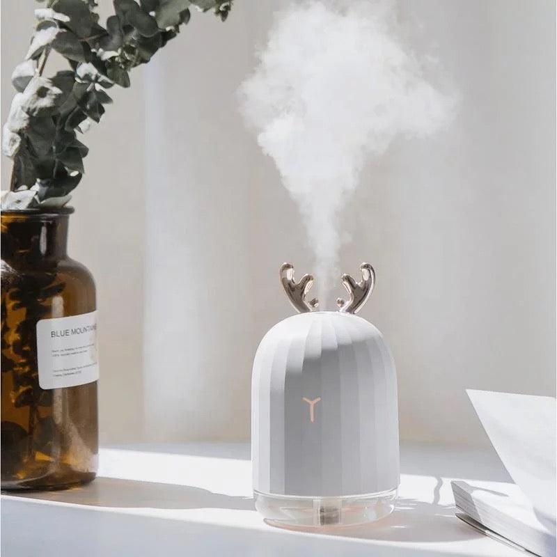 Cute Aromatizer & Humidifier