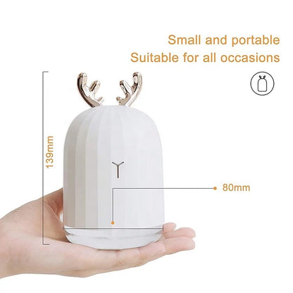 Cute Aromatizer & Humidifier